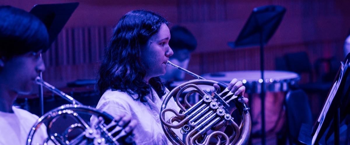 A woman playing a French horn in a group of musicians.