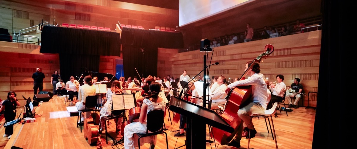 A symphony orchestra is performing on a stage with a large audience seated in the background.